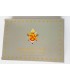 BE VATICAN 2006  285,95 €