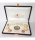 ESSERE VATICANO 2011  210,60 €