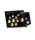 BU ALLEMAGNE 2017  29,90 €