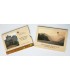 BU IRLANDE 2006  40,03 €
