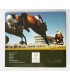 BU IRLAND 2010  36,02 €