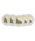 5 x 2 Euro Germany 2011 ADFGJ workshop  30,95 €