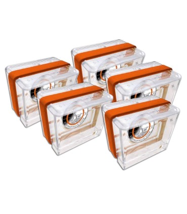 5 x 5 Euro Germania 2018 Bella stampa  159,95 €