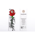 Moneta 1 Euro Portogallo 2018  11,90 €