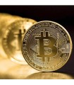 BITCOIN GOLD PLATE  19,90 €