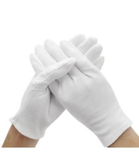 Numismaat handschoenen € 3,95