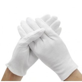 Numismate gloves