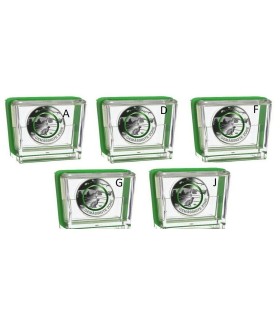 5 x 5 Euro Germania 2019 Bella stampa  119,95 €
