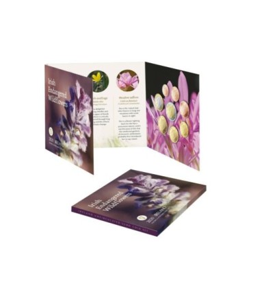 BU Irland 2020  36,95 €