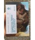 2 Euro San Marino 2020 -250 años de la muerte de Giovanni Battista Tiepolo  99,49 €