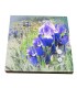 5 Euro Greece 2020 - L'Iris  20,99 €