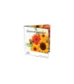 BU Finlandia 2021 - Congratulazioni  46,95 €