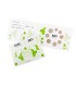 Box BU Portugal 2021 Geburt  31,95 €