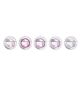 Confezione da 5 x 5 euro Germania 2021 - Zona Polare  39,95 €