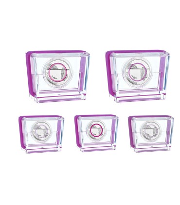 5 x 5 Euro Deutschland 2021 Schöner Beweis  119,95 €