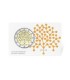 Coincard 2 Euro Lettonia 2022 - Cultura finanziaria  19,95 €