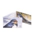 Coincard 2 Euro Estland 2023 - Die Schwalbe  17,49 €