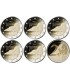 5x 2 euros Alemania 2024 BE - Mecklenburg 59,89 euros