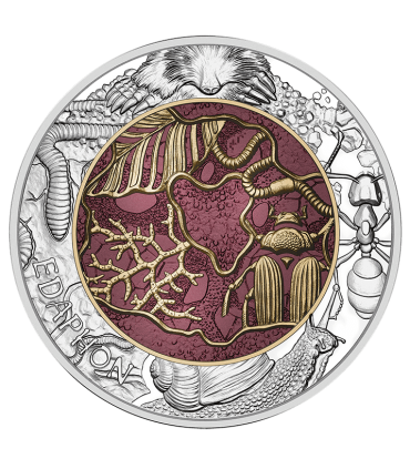 25 Euro Austria Niobio 2024  79,95 €