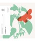 BU San Marino 2024 - Mariposas €53.99