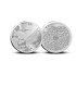 BU Paesi Bassi 2024- MH17  34,49 €