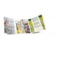 BU Niederlande 2024- MH17  34,49 €