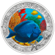 3 Euro Österreich 2024 - Chirurgischer Fisch blau  14,95 €