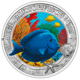 3 euro Autriche 2024 - Poisson chirurgien bleu