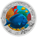 3 euro Autriche 2024 - Poisson chirurgien bleu