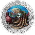3 euro Austria 2024 - Dwarf Cuttlefish  14,95 €