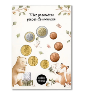 FDC euromuntserie Frankrijk 2025 €28,99