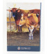Tarjeta 2 Euro Malta 2025 BU - El Buey Maltés  27,89 €