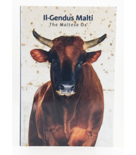 Munt 2 Euro Malta 2025 BU - Maltezer Rund €27.89