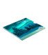 BU Finnland 2025 - Nordlichter  34,95 €