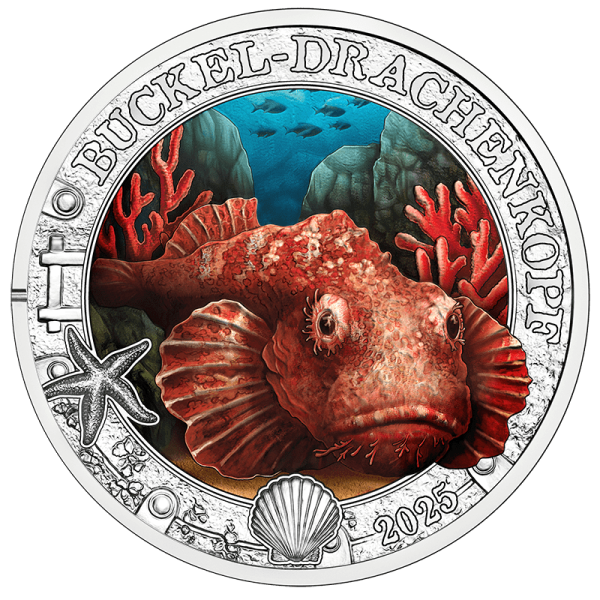 copy of 3 Euro Austria 2025 - Nudibranquio  13,95 €