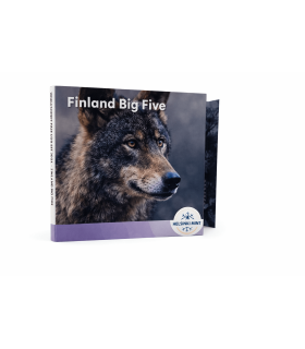 copy of BU España 2026 WMF box set  89,95 €