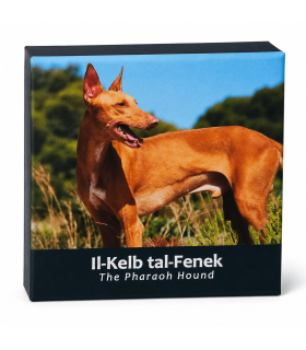 2 Euro Malta 2026 Belle Epreuve - Il cane faraone