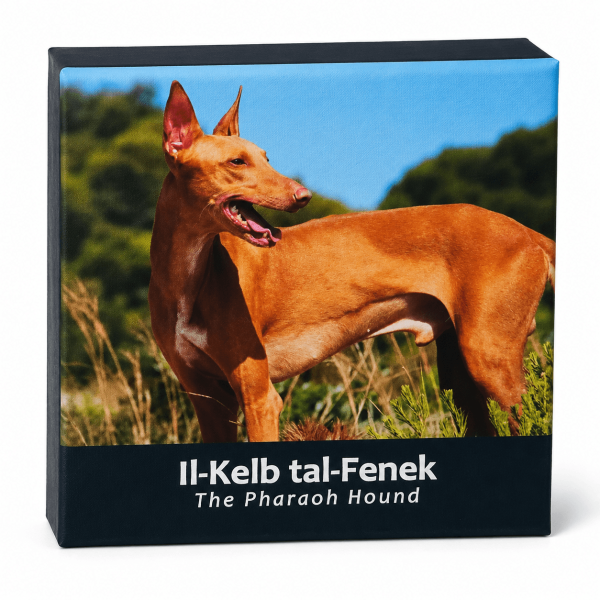 2 Euro Malta 2026 Schöne Prüfung - Der Hund Pharao