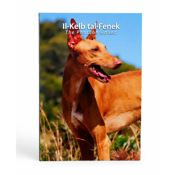 Coincard 2 Euro Malta 2026 BU - The Pharaoh Dog  27,89 €