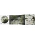 BU Finlande 2017  44,95 €