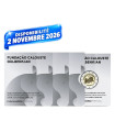 copy of 2 euro Portogallo 2026 - Calouste Gulbenkian